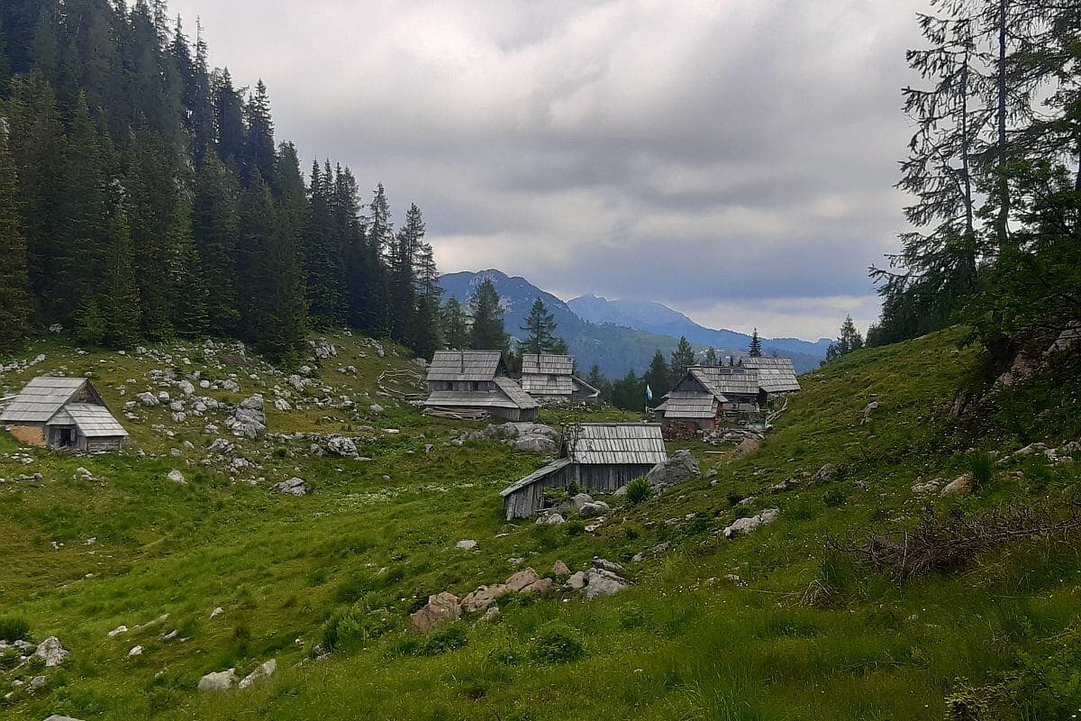 Bregarjevo Zavetisce na Planini Visevnik