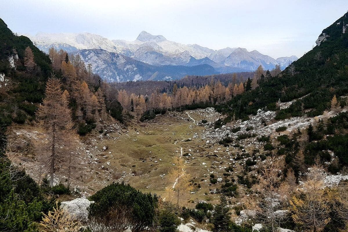 Planina Zadnji Vogel 