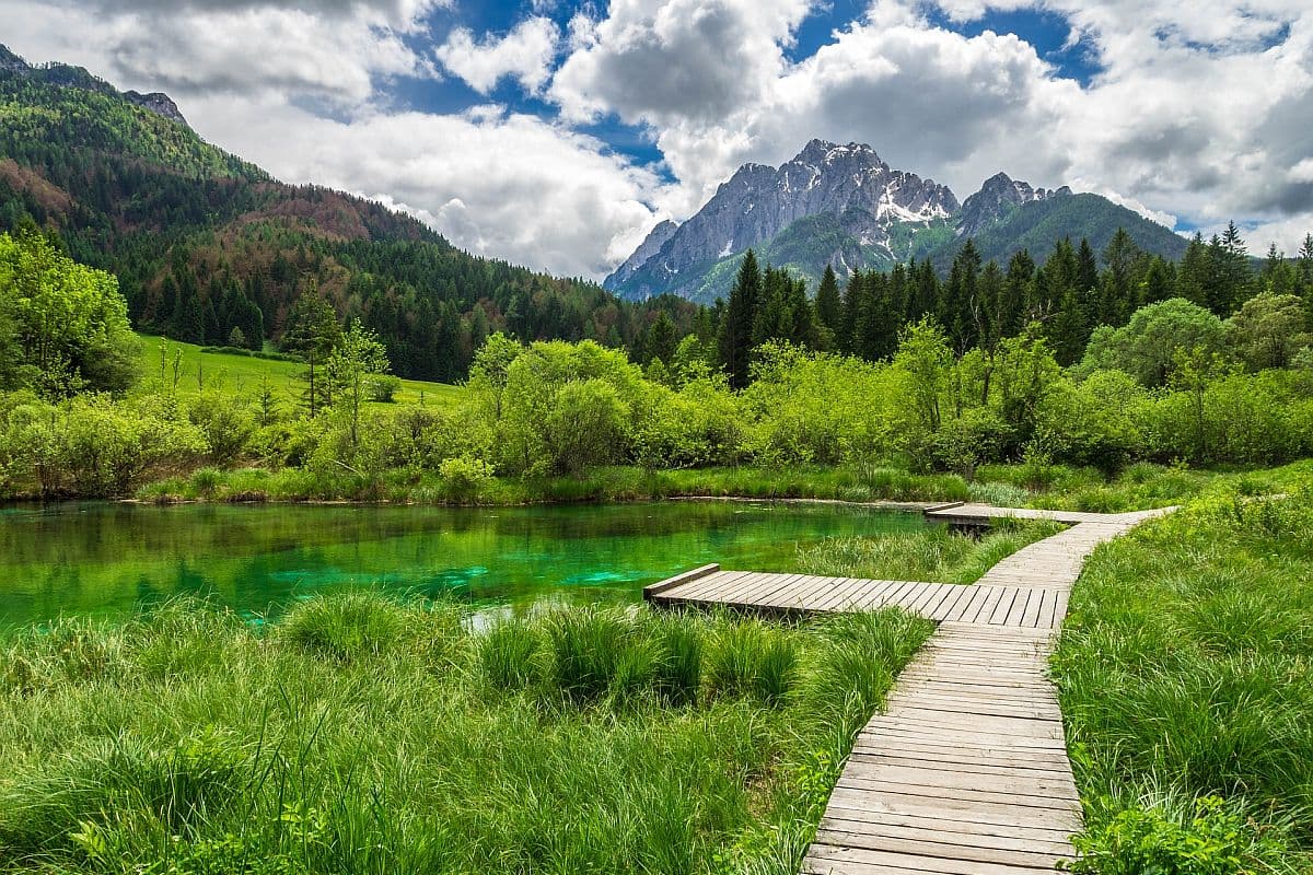 Zelenci naturreservat