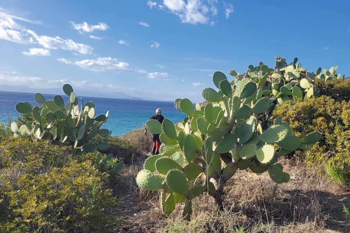 Sardinien