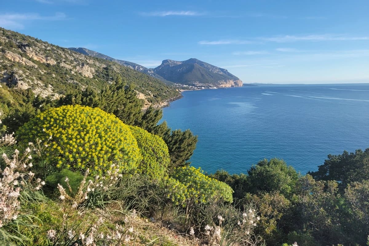 Sardinien