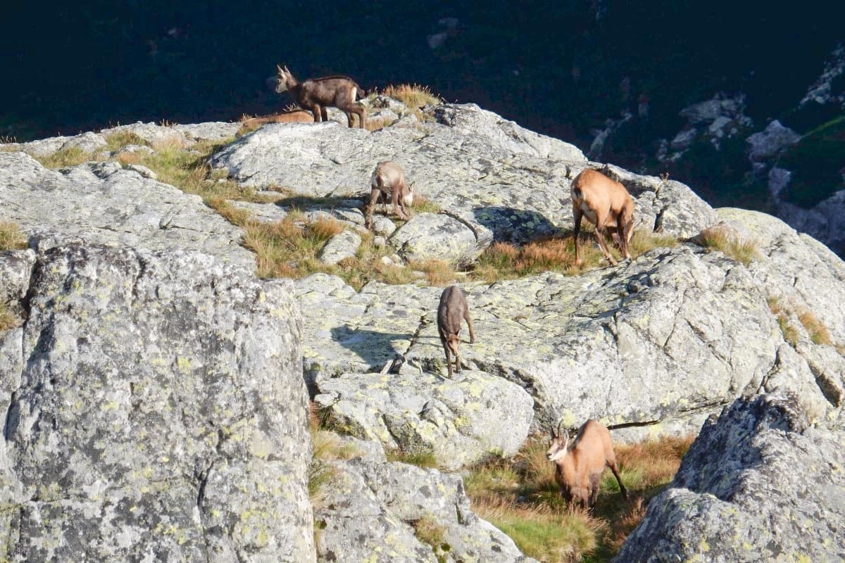Slovakien - Höga Tatra